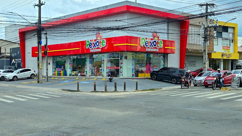 Peixote Brinquedos